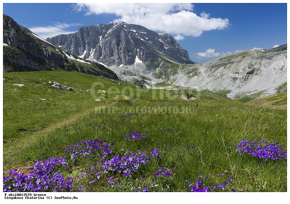 �����������, ������, ��������� ����������, �����������, ����, ����, ������, ��������� ����������, �����������, ����, ����, ���������, ����, �����, ����������, �����, ���������, ������������ ����, ������, ����, ������, ����, ���, �����, ����, �����, �����, ����, �����, �����, ������, ������, ��������, �����, ����, ����������, ����������, ��������, �������, �������, ���������