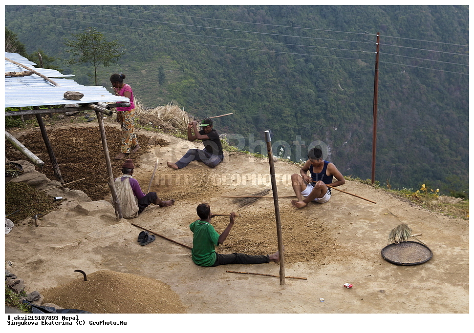 ����, ����, ����, �������, ������������ ��������������� ���������� �����, �����