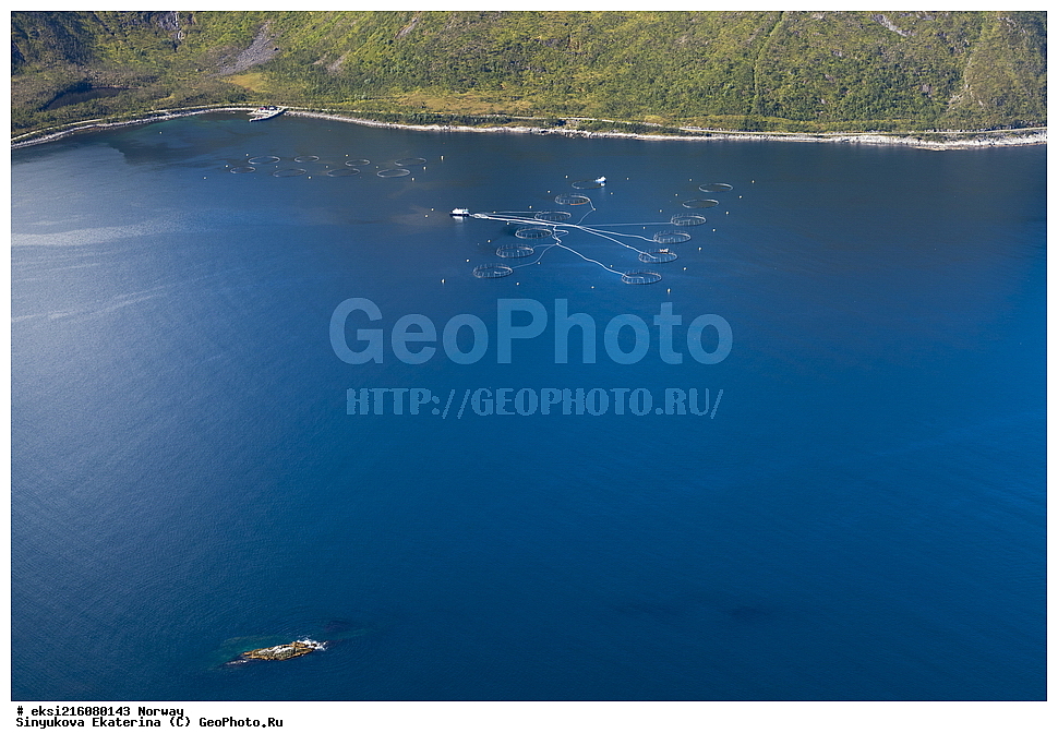 ��������, �����, ���������� ����, ������, �������, ������, ����, �����������, ����, �����, ����������, ����������, �����������, ����, ������, ������, �����, �������, ���������, ����, �����, �����, �����, ����, �����, ��������, ����� ����