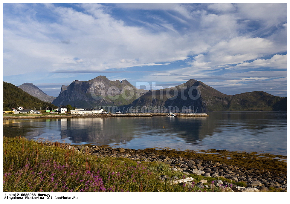 ��������, �����, ���������� ����, ������, �������, ������, ����, �����������, ����, �����, ����������, ����������, �����������, ����, ������, ������, �����, �������, ���������, ����, �����, �����, ������, �������, ����