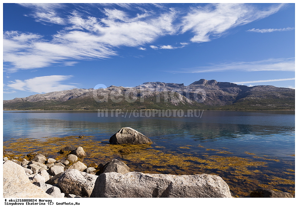 ��������, ����������� ��������, ���������� ����, �����, �����������, �����, �������, ����, ������, ����, ����, �����, ����������, ����������, �����������, ����, ������, �����, ���������, ����, �����, ������, ���������, �����, �����, ��������, ���������, �����, ���������, ������, �����������