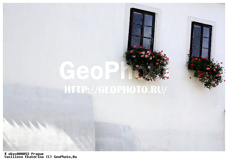 �����, �����, �����, ���, ����, ����� �� �����