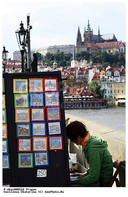 ������ ����, �����, �������� ����, ��������, ���������