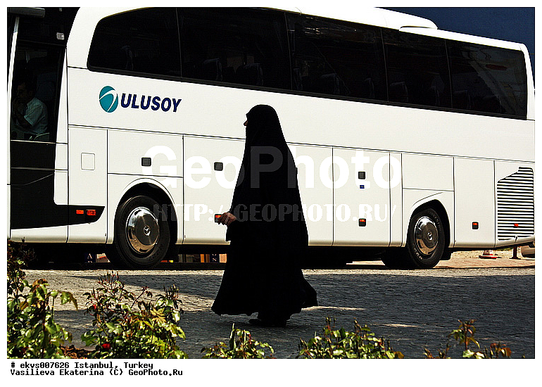 ������, �������, ������, �������, �������, �����, ��������, ������