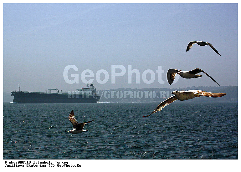 ������, �������, ������, ����, �������, ����, ����, �����