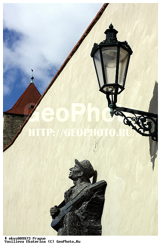 �����, �������� ����, �����, ������