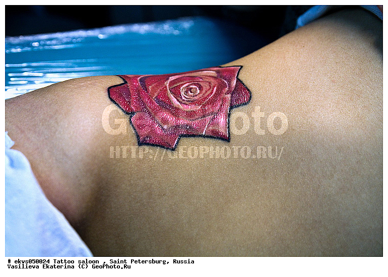 ����� ���������, ����-�����, �����, ����, ����������