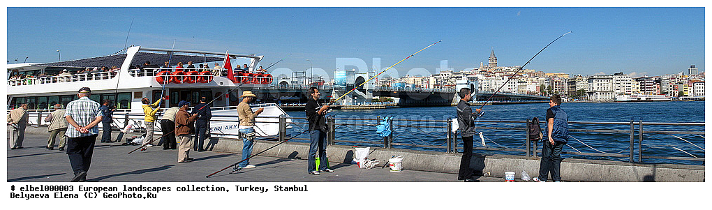 ������, ������� ���, �������, ������, �����, �����, �������, ����������, ����������, ��������, ������, ������