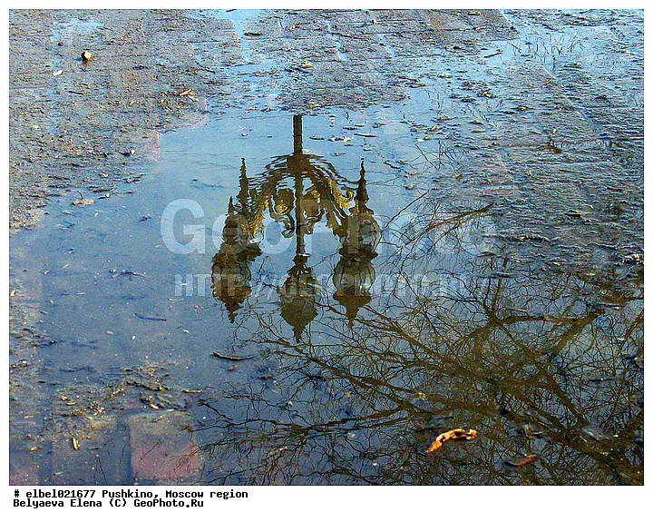 �����, ���������� �������, �������, �����, ����, ���������, ��������, ������