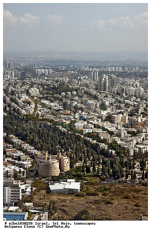 �������, ���� ����, �����������, ���, �����, ��������� �����, ��������� ���, ������, ��������, ��������, �����