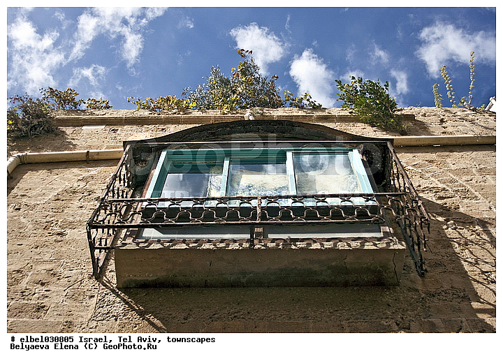 �������, ���� ����, �����������, ���, �����, ��������� �����, ��������� ���, ���, �������, ��������, ��������, �����