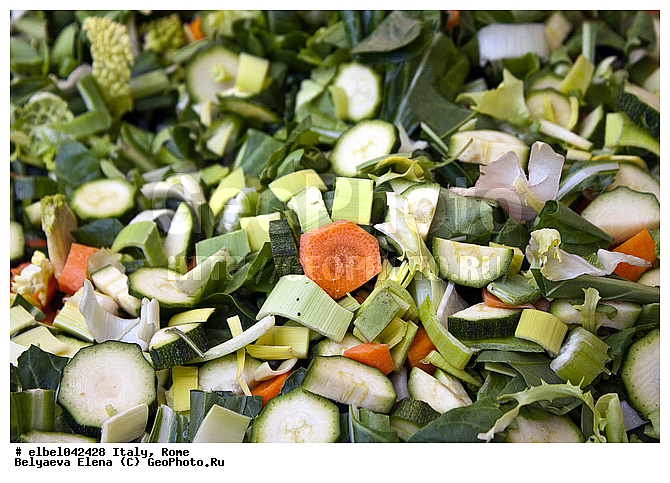 ������, ���, ������, �������, ���������, �����, �������, �����, ���������, �����, ����������, �������, �����������, ��������, �������, ��������. ��������������, �����, �������� �������, �����, ��������, ������, ������