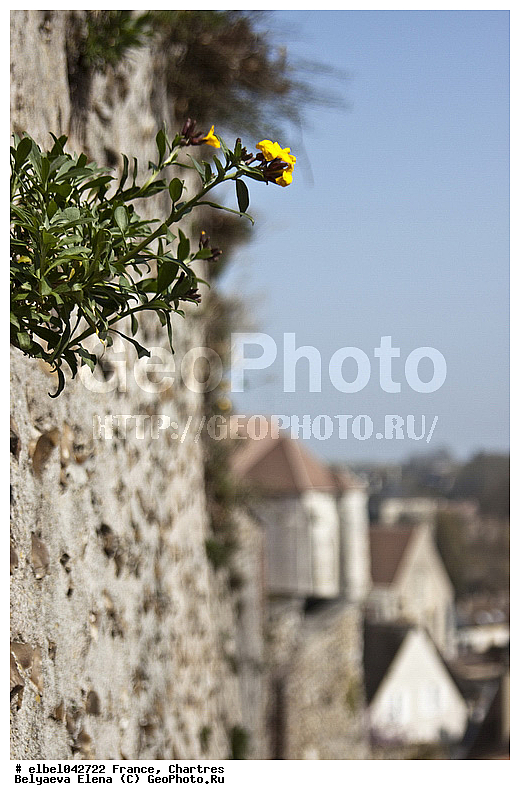 �������, �����, �����������, �����, ���, �����, ���������, ��������� ���, ���, ����, �������, ������, ��������������, ���������, ��������, �����