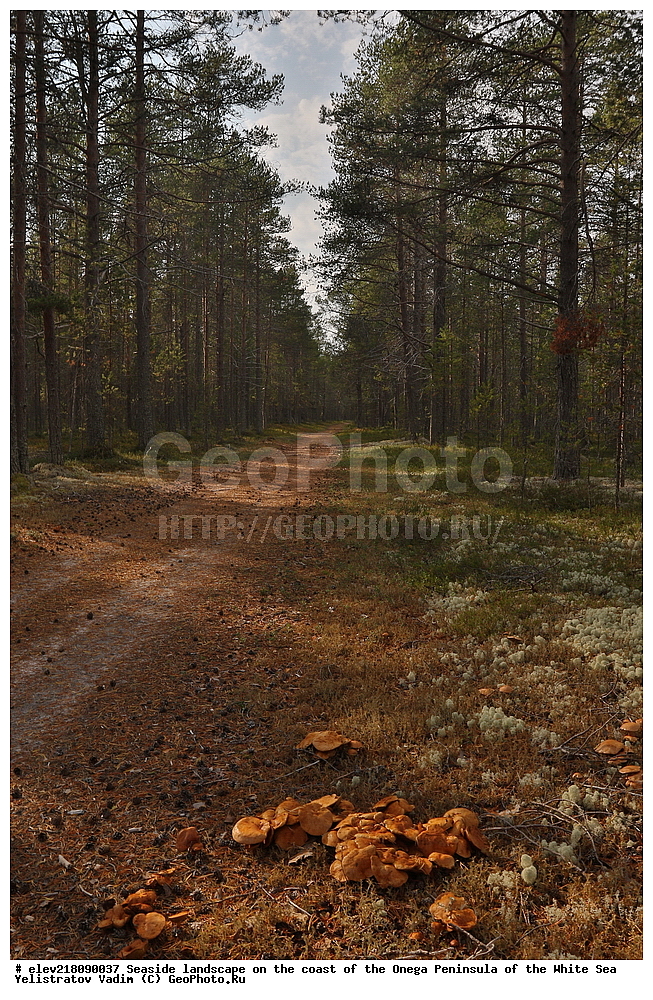  �������, �������� �������, �������� ����������, ����� ����, ������������ ����, ���������� ��������, ����� ����
