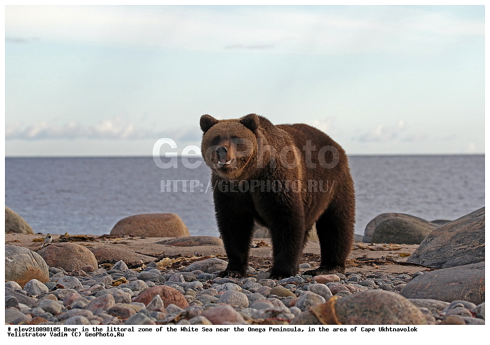 �������, �������� �������, �������� ����������, ����� ����, ������������ ����,   ��������, ����� ����, ��������, �������