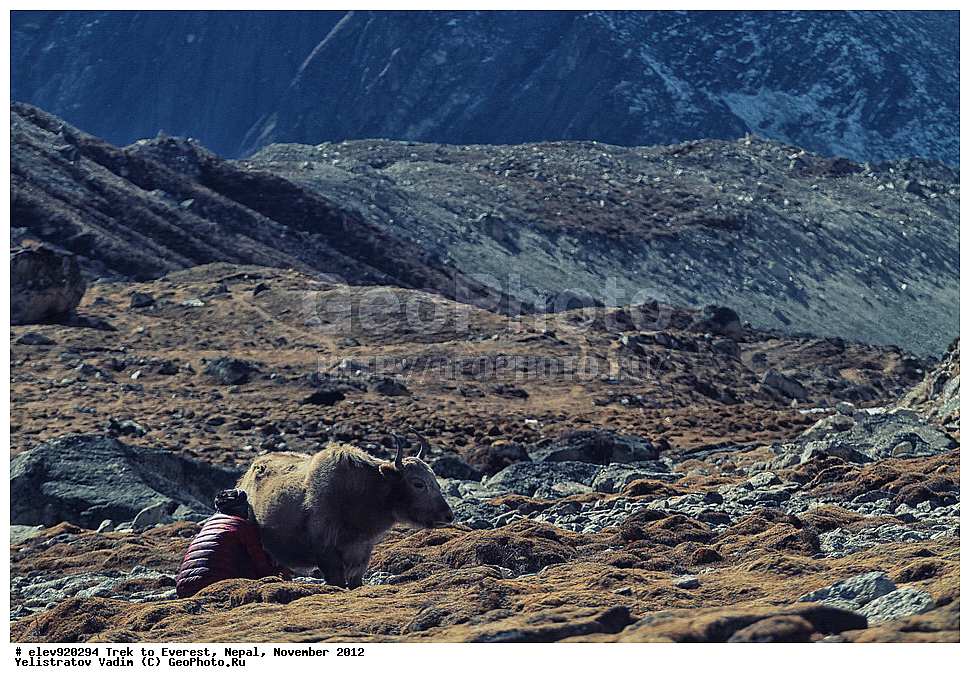 ����, �������, �����, ������, 2012, ����