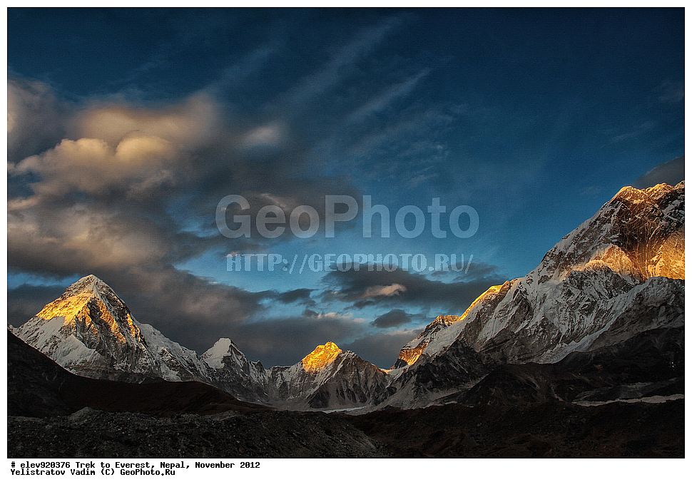 ����, �������, �����, ������, 2012, ����, �������