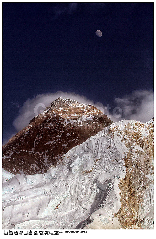 ����, �������, �����, ������, 2012, ����, �������