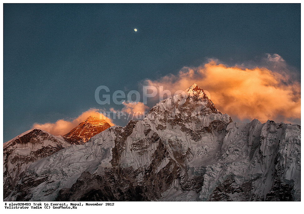 ����, �������, �����, ������, 2012, ����, �������