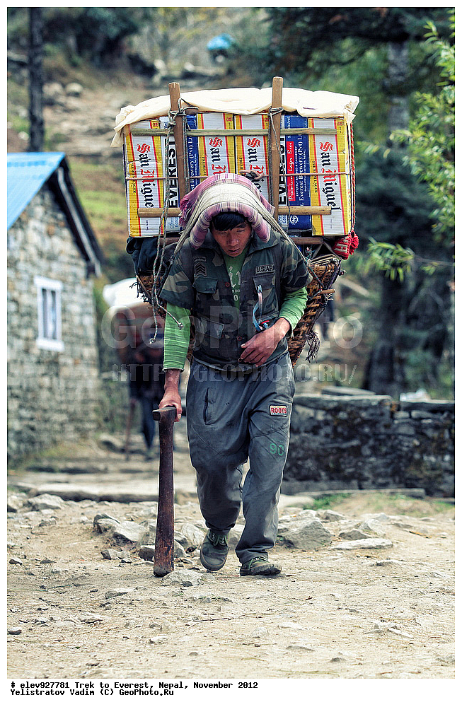 ����, �������, �����, ������, 2012, ����