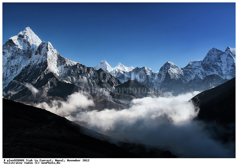 ����, �������, �����, ������, 2012, ����, �������