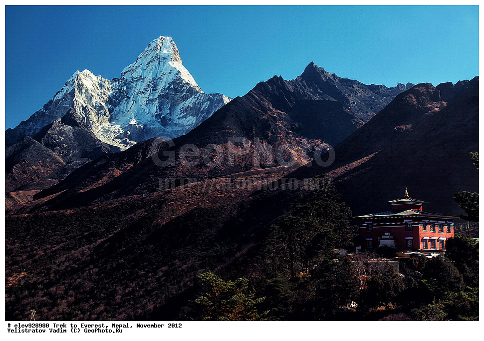 ����, �������, �����, ������, 2012, ����