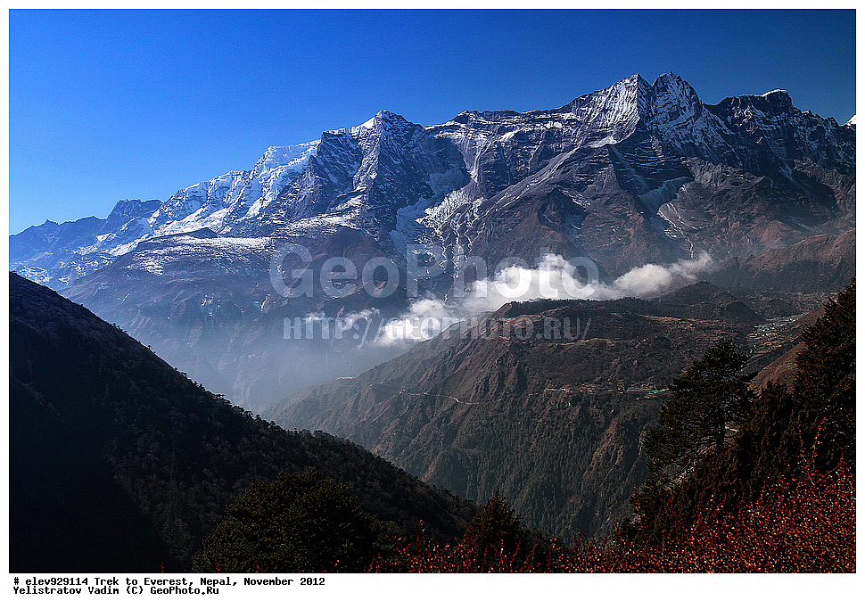 ����, �������, �����, ������, 2012, ����, �������