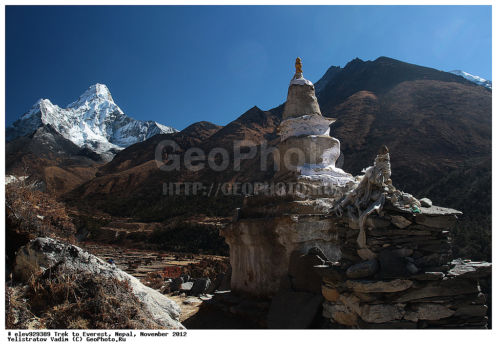 ����, �������, �����, ������, 2012, ����