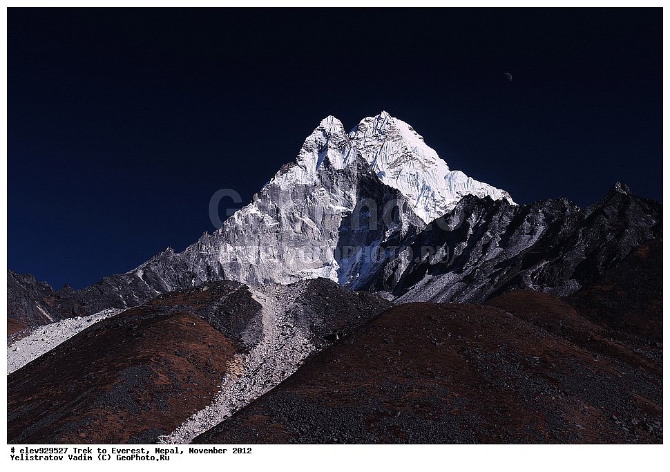 ����, �������, �����, ������, 2012, ����, �������