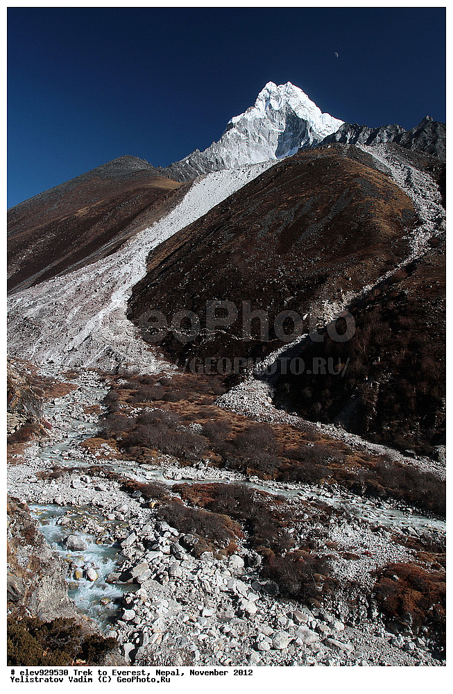 ����, �������, �����, ������, 2012, ����