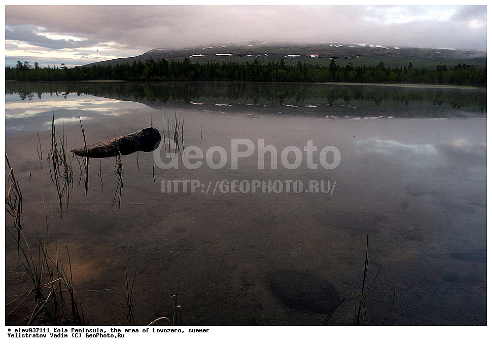 �������� ����������, ����������, ��������, ����