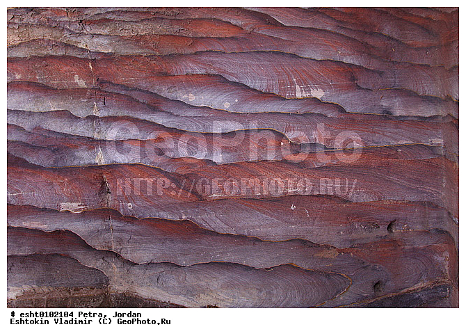 ��������, �����, ����� �����, ��������, �������, �����, ����