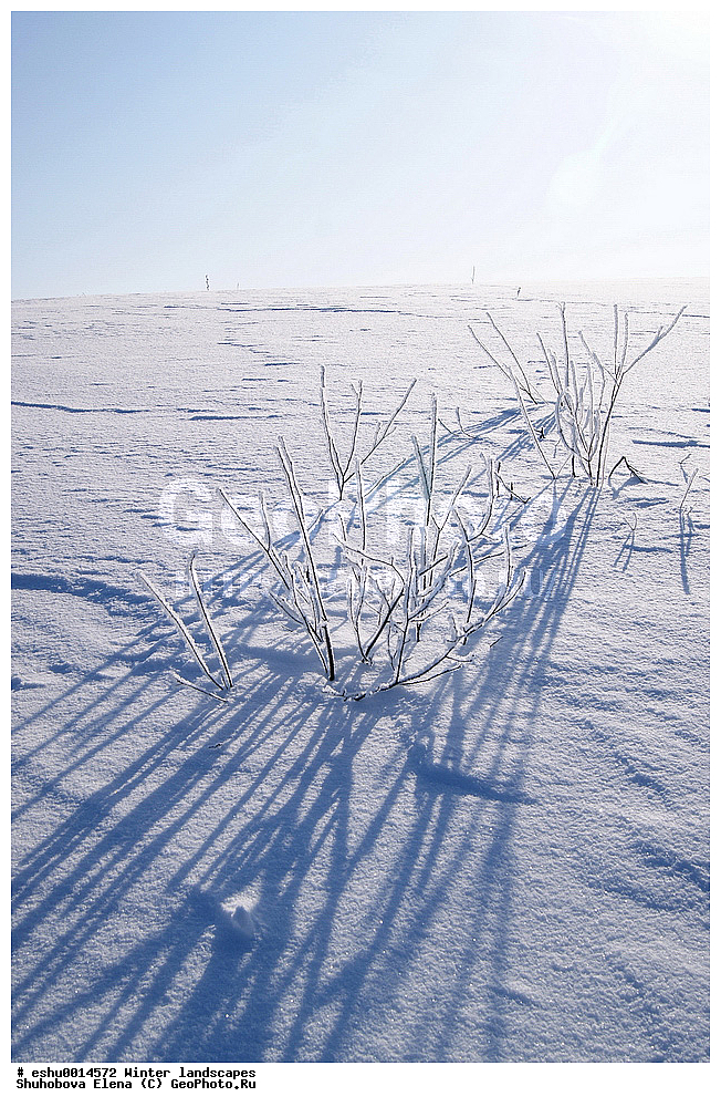 ������, ������, ����, ������, �����, ���� �� �����, ����, ����, ����������� ������������ ����