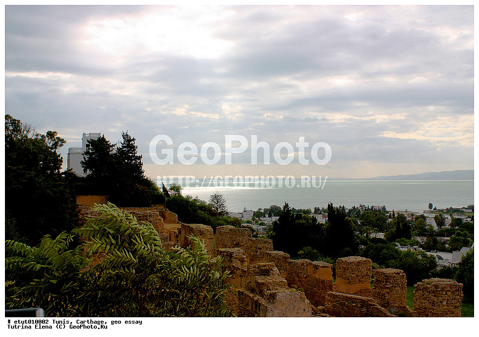 �����, ��������, ��������, �����������