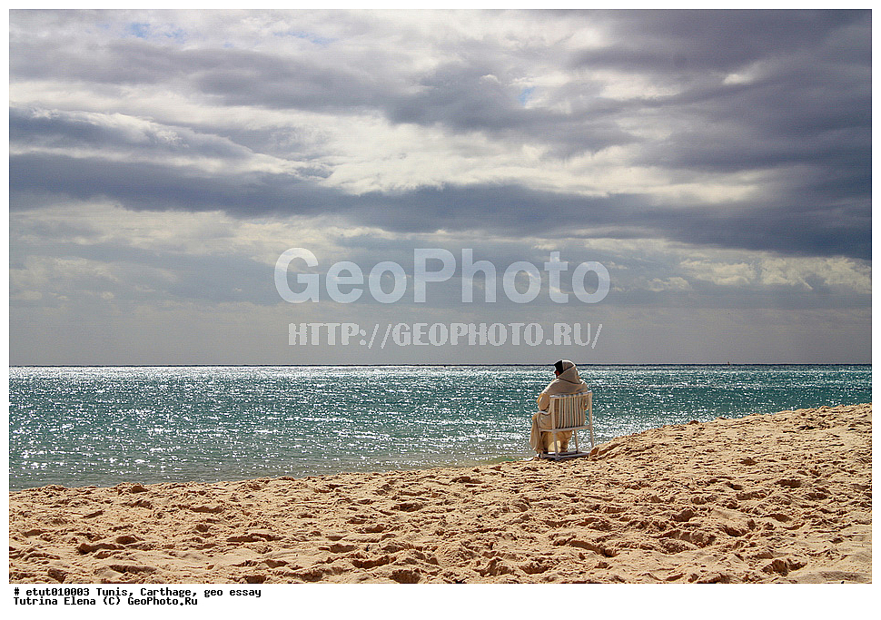 �����, ��������, ��������, �����������