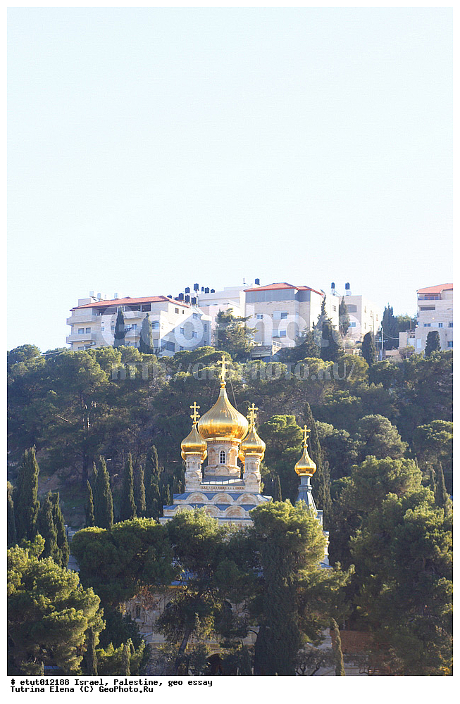 �������, ���������, ��������, �����������