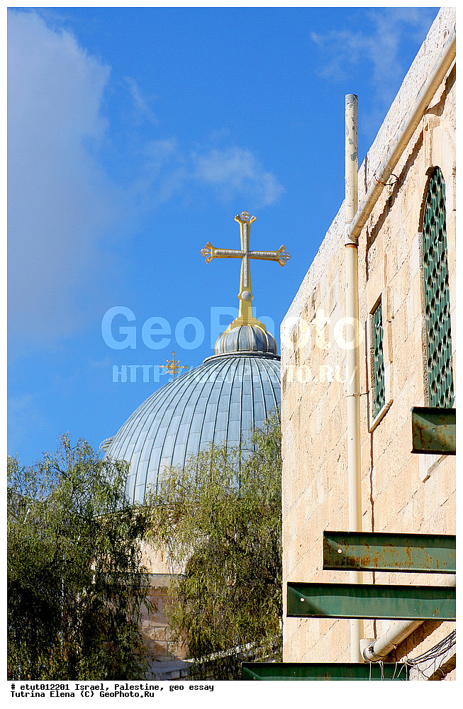 �������, ���������, ��������, �����������