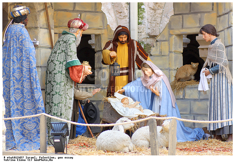 �������, ���������, ��������, �����������