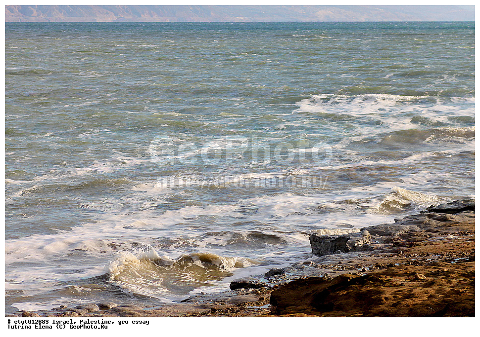 �������, ���������, ��������, �����������