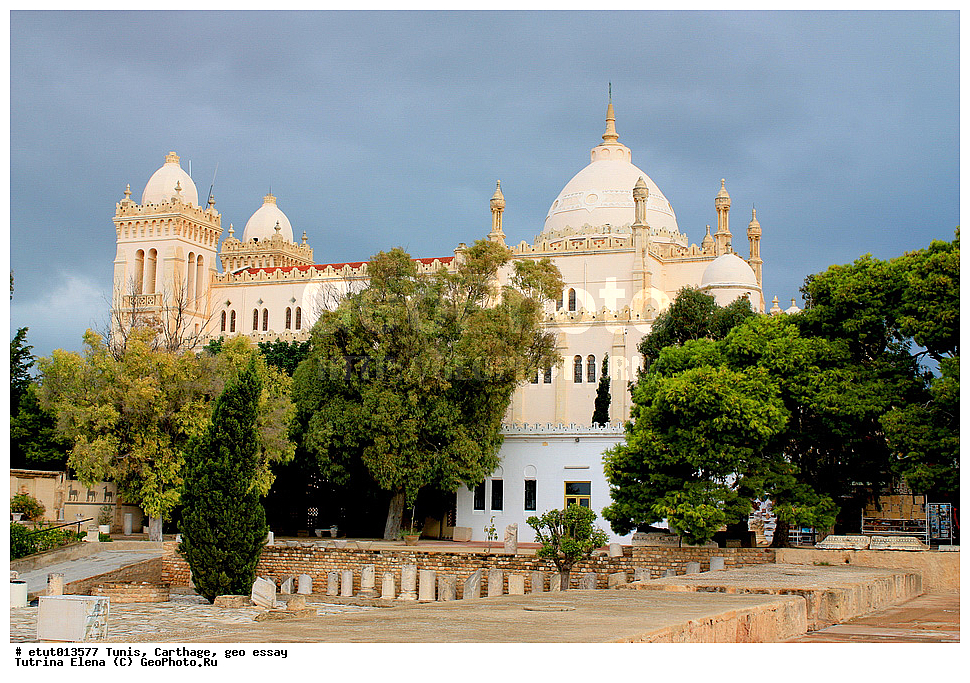 �����, ��������, ��������, �����������