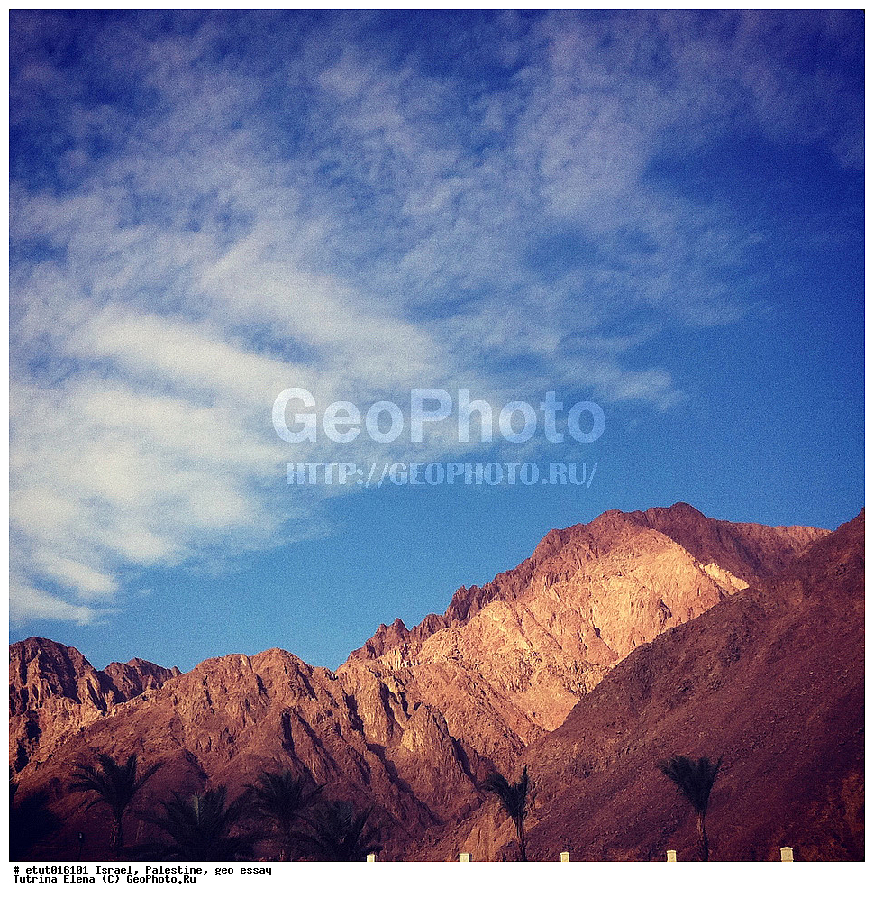 �������, ���������, ��������, �����������