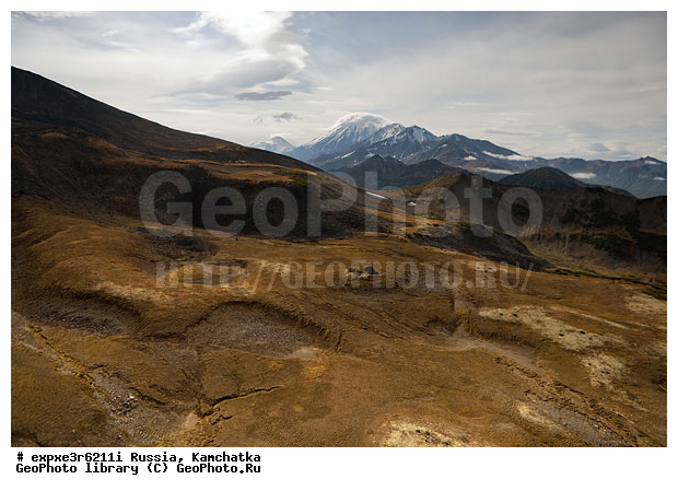 ��������, �����