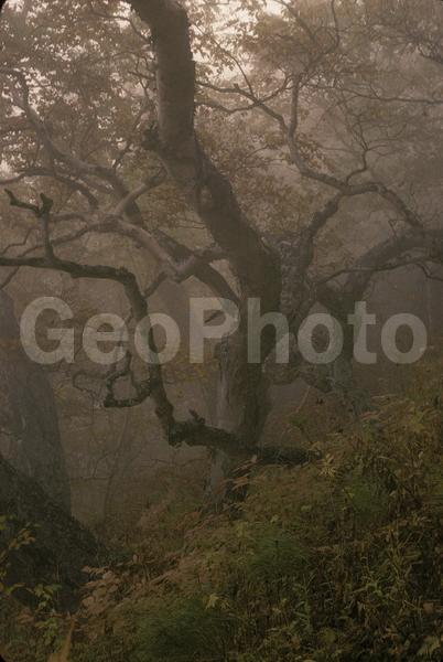 ���������, ������� ������, ������ ��������, ��������, ���������, ������, ������, ����, �����������, ������, �������, ����, ������, �����, ����, �������, ����� �������, ����������, ����������, ����������, ������, �������, �����, ����, �������, ������, ����, ������� �����, �����, ������, ���, ������, ����������, �����, ������, ����������, ��������