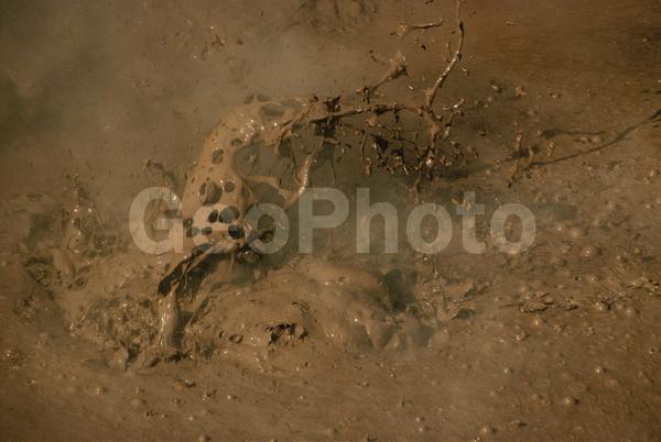 ���������, ������� ������, ������ ��������, ��������, ���������, ������, ������, ����, �����������, ������, �������, ����, ������, �����, ����, �������, ����� �������, ����������, ����������, ����������, ������, �������, �����, ����, �������, ������, ����, ������� �����, �����, ������, ���, ������, ����������, �����, ������, ����������, ��������