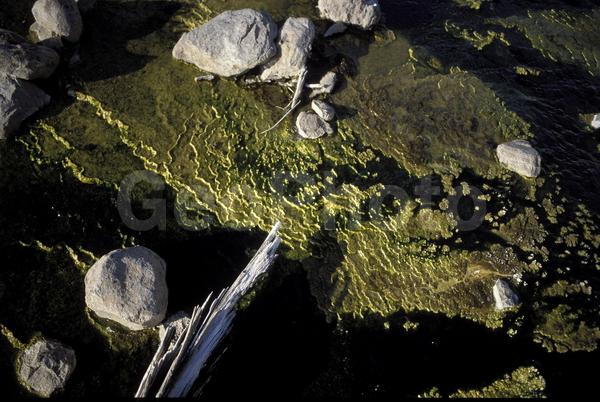 ���������, ������� ������, ������ ��������, ��������, ���������, ������, ������, ����, �����������, ������, �������, ����, ������, �����, ����, �������, ����� �������, ����������, ����������, ����������, ������, �������, �����, ����, �������, ������, ����, ������� �����, �����, ������, ���, ������, ����������, �����, ������, ����������, ��������