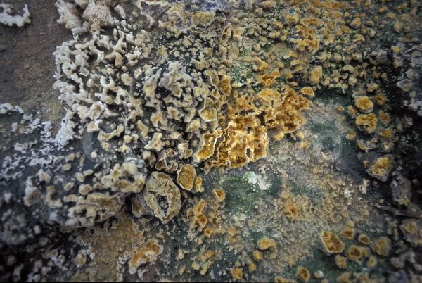 ���������, ������� ������, ������ ��������, ��������, ���������, ������, ������, ����, �����������, ������, �������, ����, ������, �����, ����, �������, ����� �������, ����������, ����������, ����������, ������, �������, �����, ����, �������, ������, ����, ������� �����, �����, ������, ���, ������, ����������, �����, ������, ����������, ��������