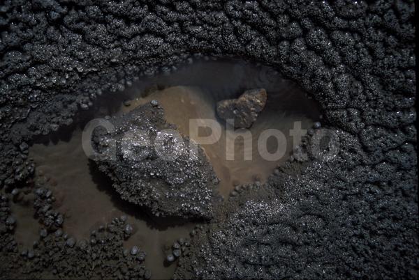 ���������, ������� ������, ������ ��������, ��������, ���������, ������, ������, ����, �����������, ������, �������, ����, ������, �����, ����, �������, ����� �������, ����������, ����������, ����������, ������, �������, �����, ����, �������, ������, ����, ������� �����, �����, ������, ���, ������, ����������, �����, ������, ����������, ��������