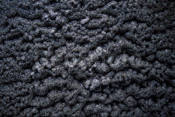 ���������, ������� ������, ������ ��������, ��������, ���������, ������, ������, ����, �����������, ������, �������, ����, ������, �����, ����, �������, ����� �������, ����������, ����������, ����������, ������, �������, �����, ����, �������, ������, ����, ������� �����, �����, ������, ���, ������, ����������, �����, ������, ����������, ��������