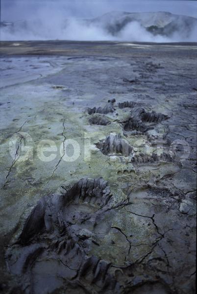 ���������, ������� ������, ������ ��������, ��������, ���������, ������, ������, ����, �����������, ������, �������, ����, ������, �����, ����, �������, ����� �������, ����������, ����������, ����������, ������, �������, �����, ����, �������, ������, ����, ������� �����, �����, ������, ���, ������, ����������, �����, ������, ����������, ��������