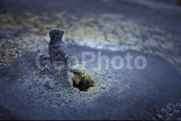 ���������, ������� ������, ������ ��������, ��������, ���������, ������, ������, ����, �����������, ������, �������, ����, ������, �����, ����, �������, ����� �������, ����������, ����������, ����������, ������, �������, �����, ����, �������, ������, ����, ������� �����, �����, ������, ���, ������, ����������, �����, ������, ����������, ��������